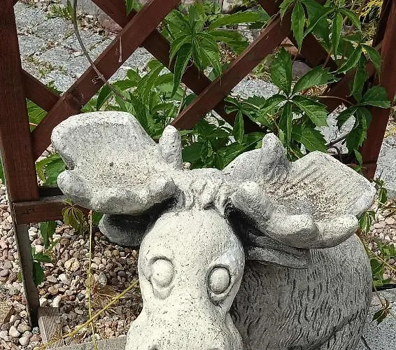 Spokojny Sen شقة شفيدنيتسا